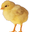 ""