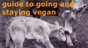 link to vegan guide