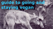link to guide to going and staying vegan