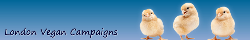 Vegan Campaigns banner