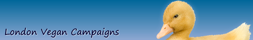Vegan Campaigns banner