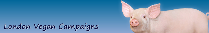 Vegan Campaigns banner
