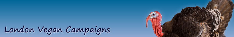 Vegan Campaigns banner