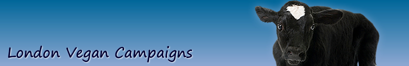 Vegan Campaigns banner